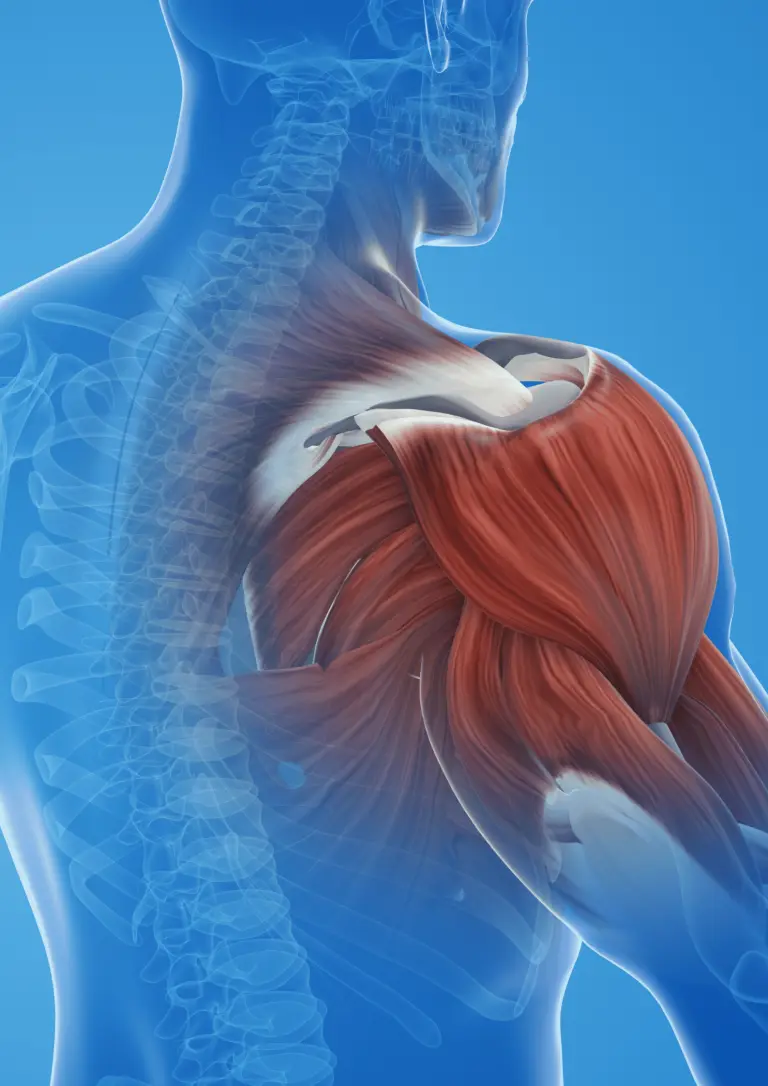 Physiotherapy for HYROX